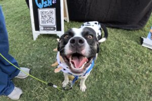 Huntsville Botanical Gardens hosts pet-friendly days for visitors who want to explore the garden with their leashed furry friends