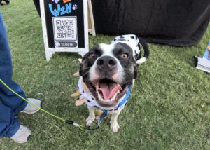 Huntsville Botanical Gardens hosts pet-friendly days for visitors who want to explore the garden with their leashed furry friends